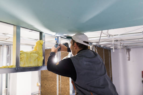Best Insulation Installation Services in Aiken, SC