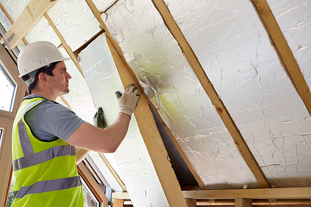 Best Energy Efficiency Solutions in Aiken, SC